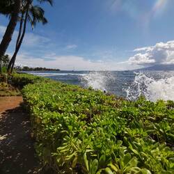 The waves actually crash against our seawall.