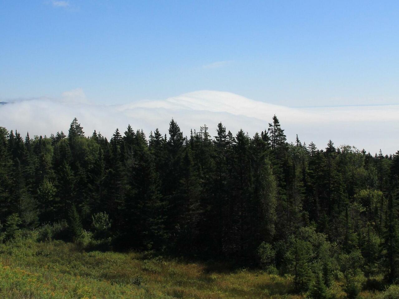Als weiße Gipfel getarnte Nebelwand.