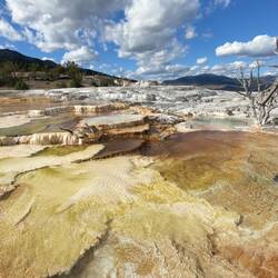 Mammoth Hot Springs