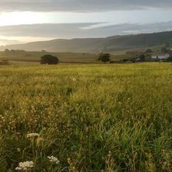 Morgens um halb 9
