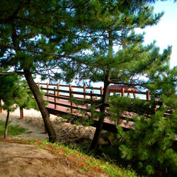Boardwalk at Gyeongpo Beach, Gangneung