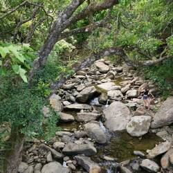 Yet another beautiful mountain stream.