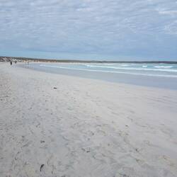 Hier nisten die Meeresschildkröten