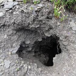 ...und seine Wohnung.