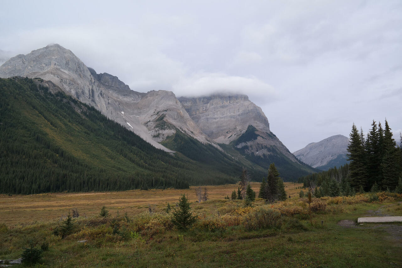 Assibiboine Pass