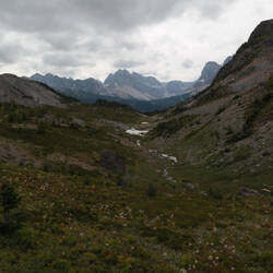 Wonder Pass