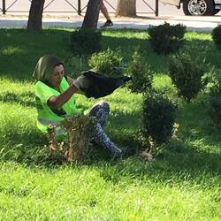 Die alten Frauen sind im Park ganz oft beschäftigt....