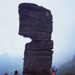 Mushroom 🍄 Mountain