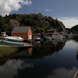 View at Petty Harbour