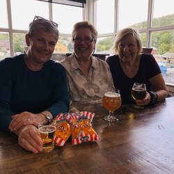 The HDL ( Heather, Diane, Leah) Connection