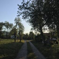 Camp Viljamovka