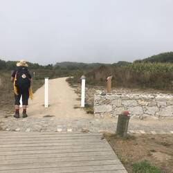 Der neue Küstenweg.