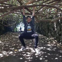 Äffchen gibt es auch 😂