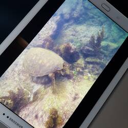 Erster Ausschnitt von der GoPro 😱