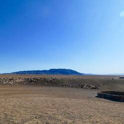 A Ger Camp with goat herd