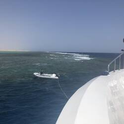 Marsa Shouna