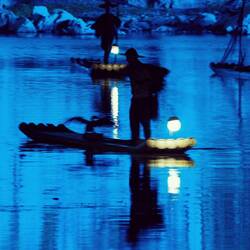 Komoranfischer als Teil der Lichtshow