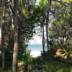 Überall blitzt das Meer durch