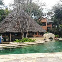 Die Poolbar