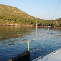 Morgendliches Schwimmen