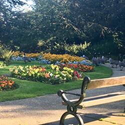 Buxton gardens