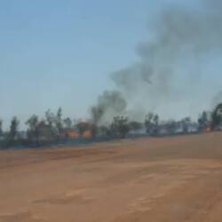 Buschfeuer am Straßenrand