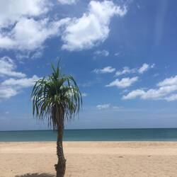 Our daily view from the deck chairs