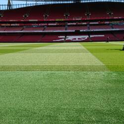 Look at that pitch!! Pristine