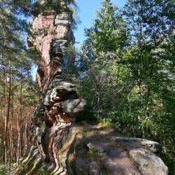Huge rocks are typical for the "Dahn Rockland"!