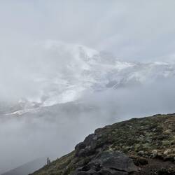 Mt Rainier