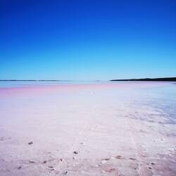 Pink Lake