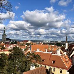 Sicht über die Tallinner Altstadt