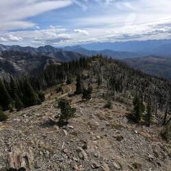 Mt Brown