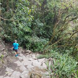 Abstieg vom Machu Picchu