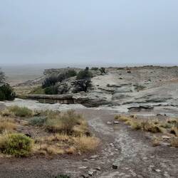 Versteinerte Baumbrücke