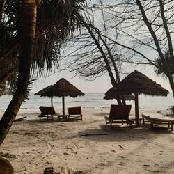 Menschenleerer Strand, da ein ekelhafter Gestank vom Meer ausgeht