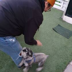 Der kleine Romeo! 😍😍