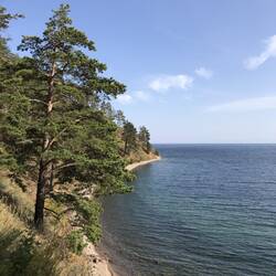 Aussicht auf den See