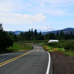 Mt Adams far away