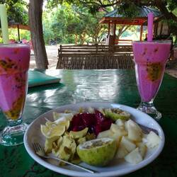 Mrs. Popcorns Garden