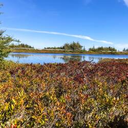 Kalt genug für nicht zu viele Mücken