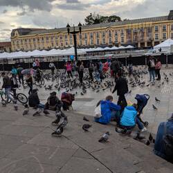 One of the many city plazas. The birds are fearless here!