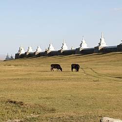 Viele Stupas