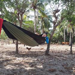 Zwischen Kühen und Hühnern