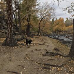 Das Flusstal (der Hund hat uns begleitet 😊)