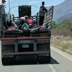 We've seen Venezuelans walking the roads thruout the trip. Looks like these guys caught a ride