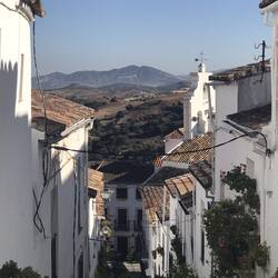 View from the top of the street