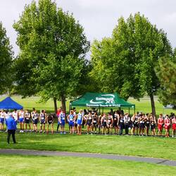 Senior boys race about to start