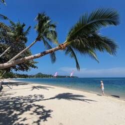 Lamai Beach