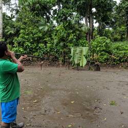 The idea is to blow the arrow out of the pipe and into the little bird in front of the banana leaves